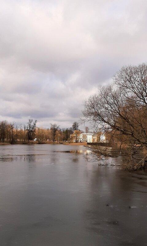 Царское Село. Март - Наталья Герасимова