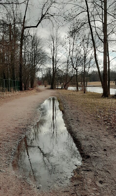 Царское Село. Март - Наталья Герасимова