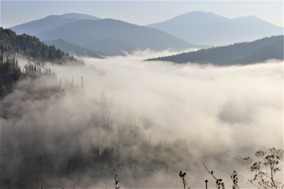 Седой туман окутал долину - Сергей Чиняев 