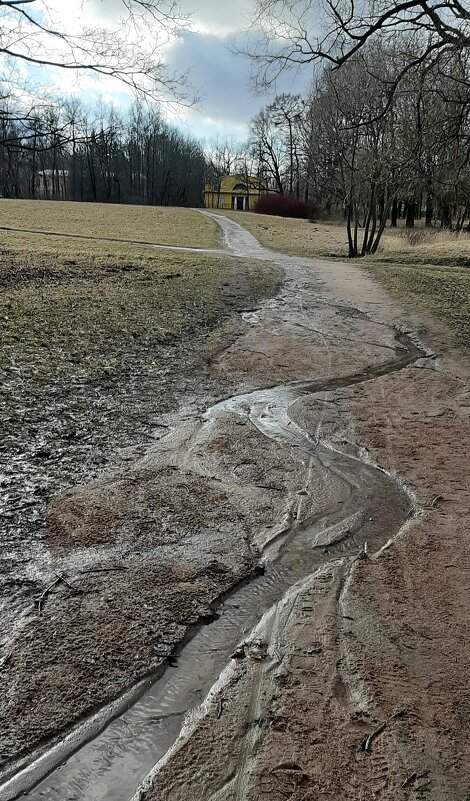 Царское Село. Март - Наталья Герасимова