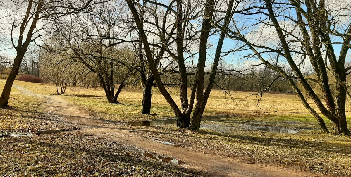 Царское Село. Март - Наталья Герасимова