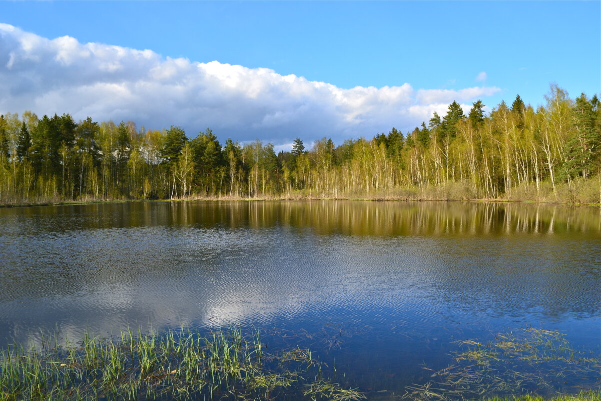Лариса на озере - 10 фото