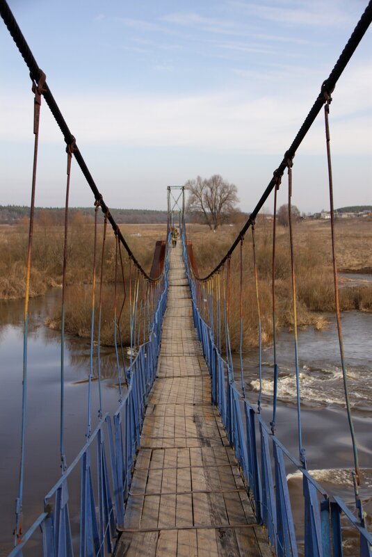 Подвесной мост - Алексей Дмитриев