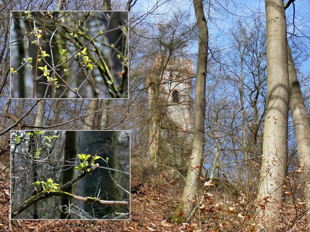 Весна в Weserbergland - Heinz Thorns