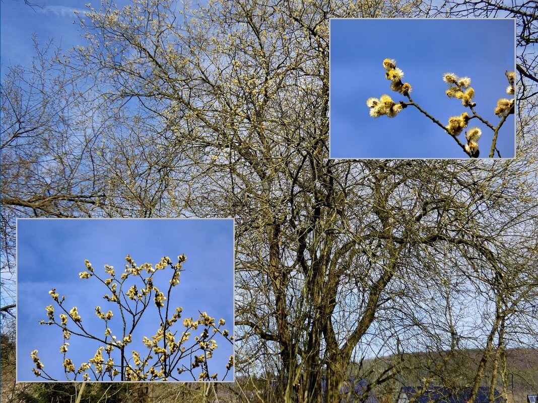 Весна в Weserbergland - Heinz Thorns