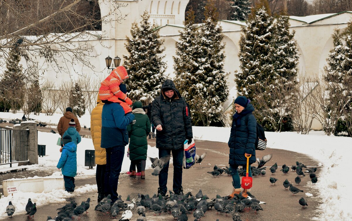 Пуховики опять в ходу. - Татьяна Помогалова