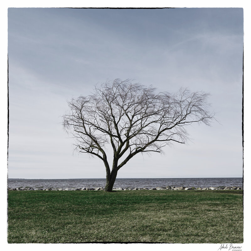 Fotograaf Arkadi Baranov, AKOLIT fotostuudio , Tallinn - Аркадий  Баранов Arkadi Baranov