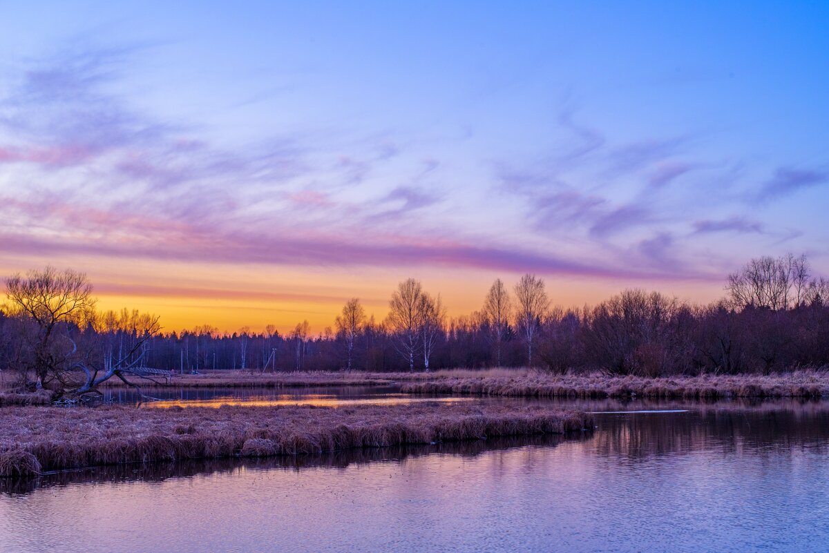 Пейзаж парка "Зверинец". Закат над рекой Тёплая, Гатчина - Дарья Меркулова