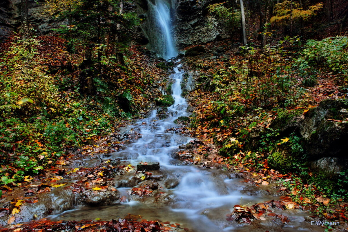 Jaunbachschlucht - Elena Wymann