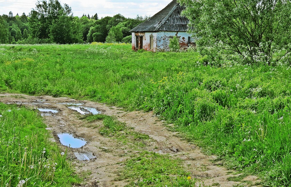 Мы на экскурсии по усадьбам. Что там за поворотом? - Евгений Кочуров