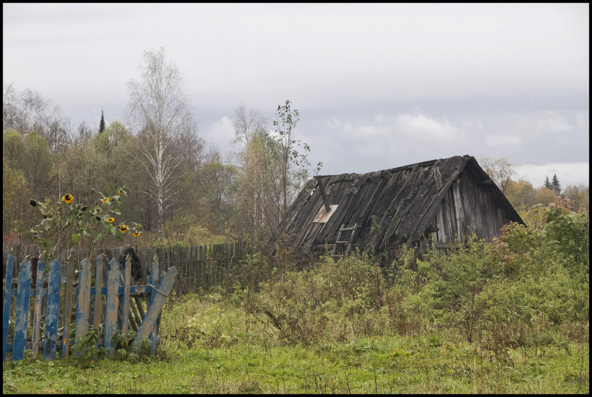 осень в деревне - Алексей Патлах