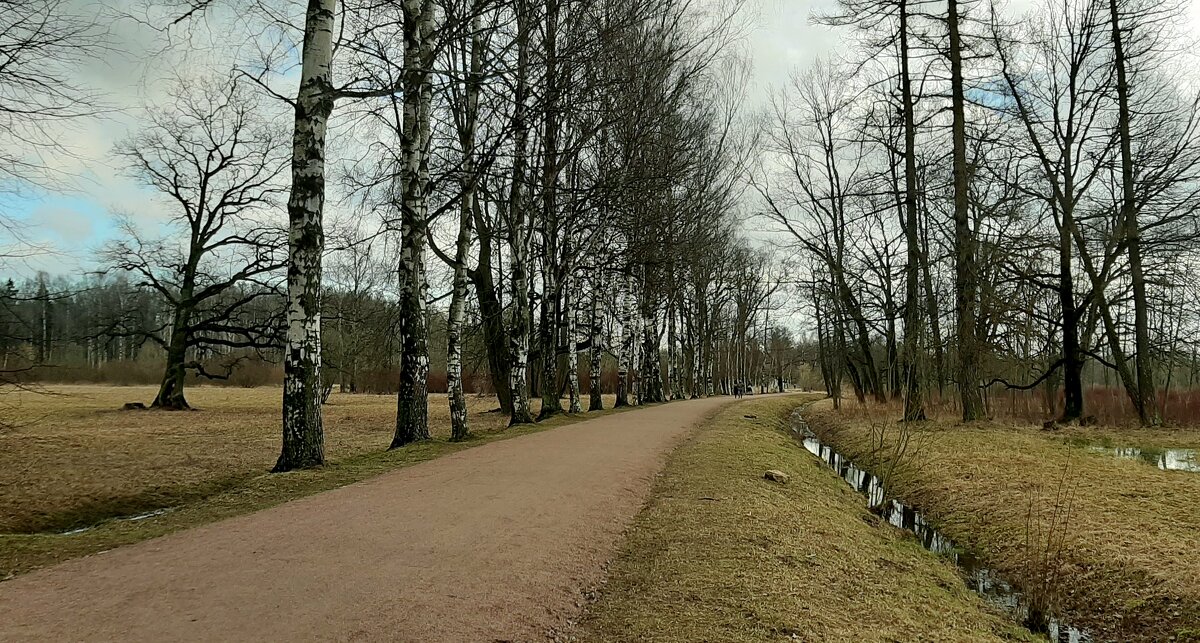 Царское Село. Март - Наталья Герасимова