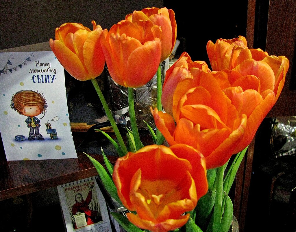 Яркие тюльпаны - Марина Таврова 