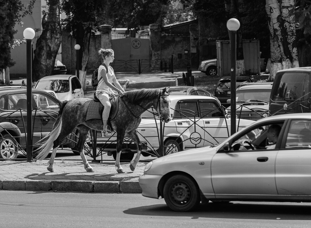 Девушка на лошади - Дмитрий Анатольевич