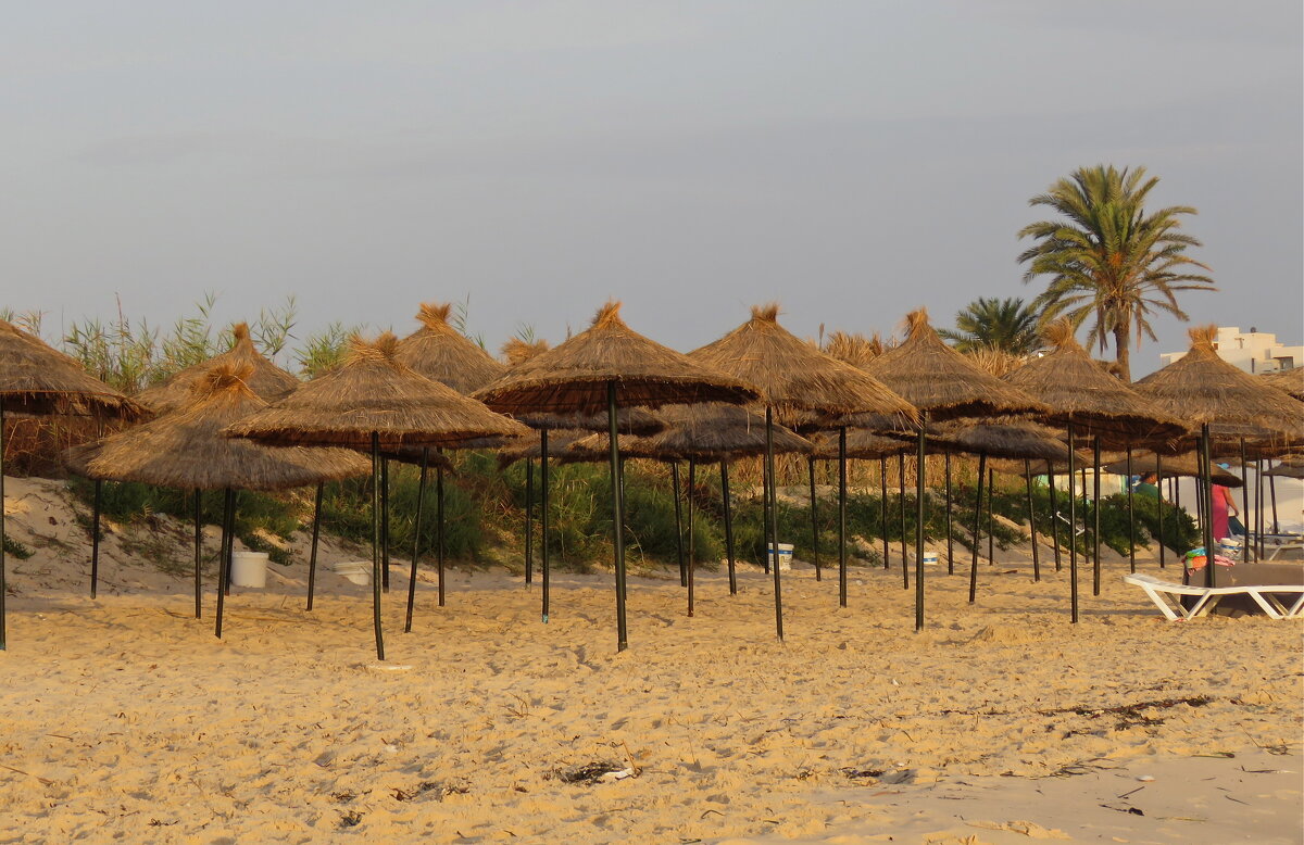 пляж в Тунисе - НАТАЛЬЯ 