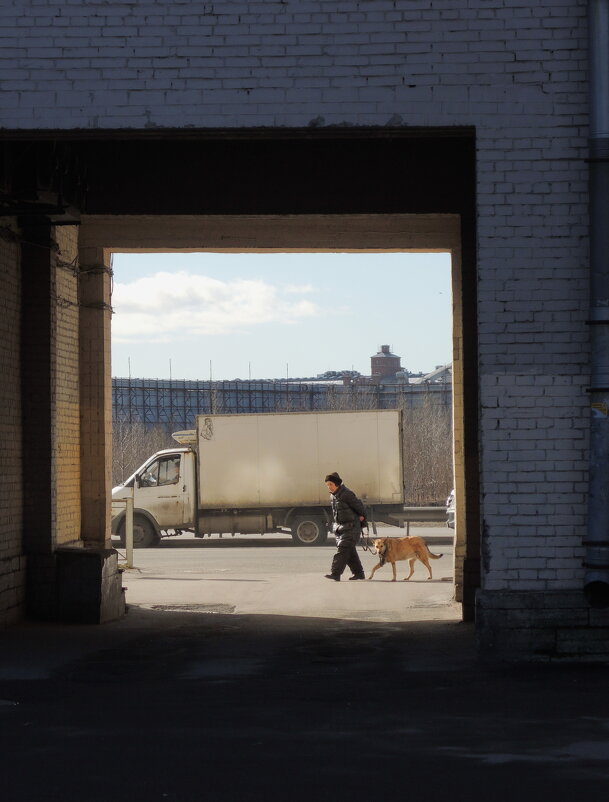 прогулка с собакой солнечным днём - sv.kaschuk 