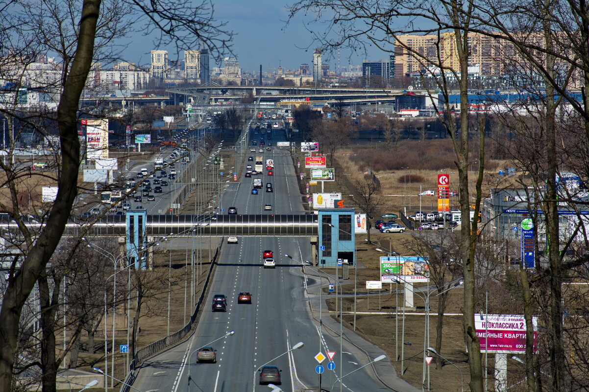 Вид на город с Пулковских высот - Валентина Папилова