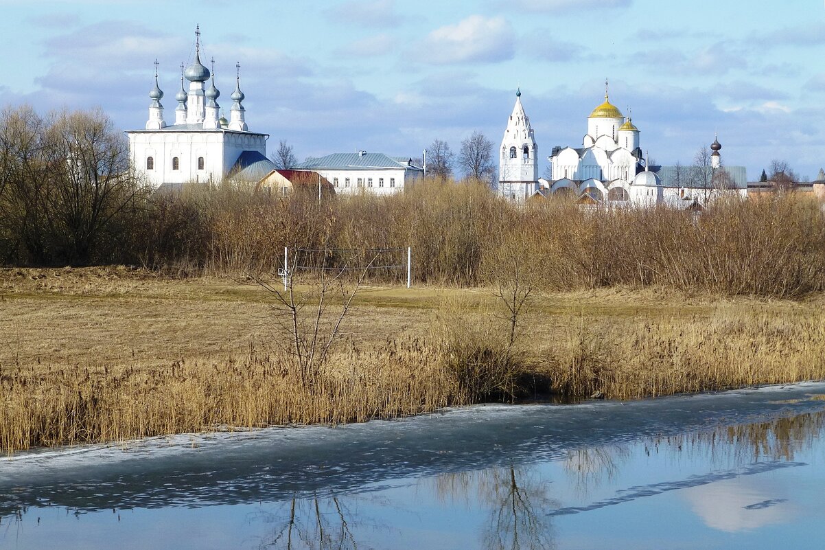 Вид на Покровский монастырь и Петропавловскую церковь - Лидия Бусурина