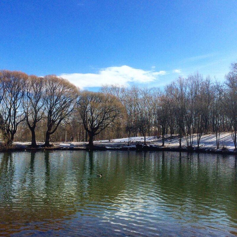 Красота водной глади - Татьяна 