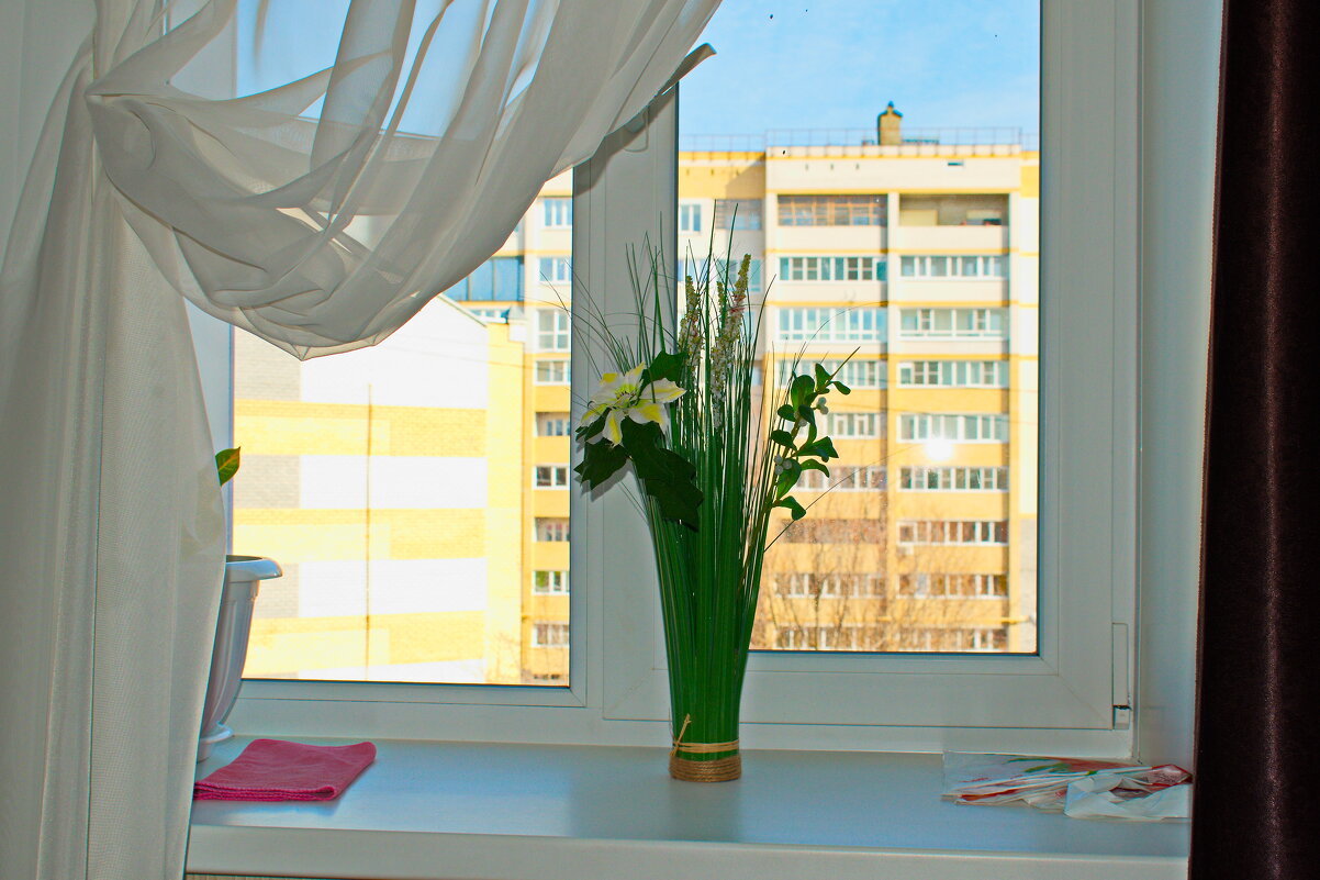 На окне и за окном - Александр Катюрин