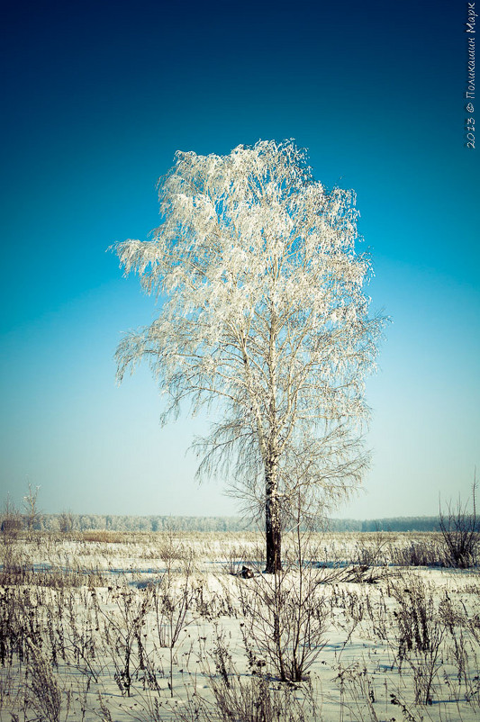 Снежное одиночество - Марк Поликашин