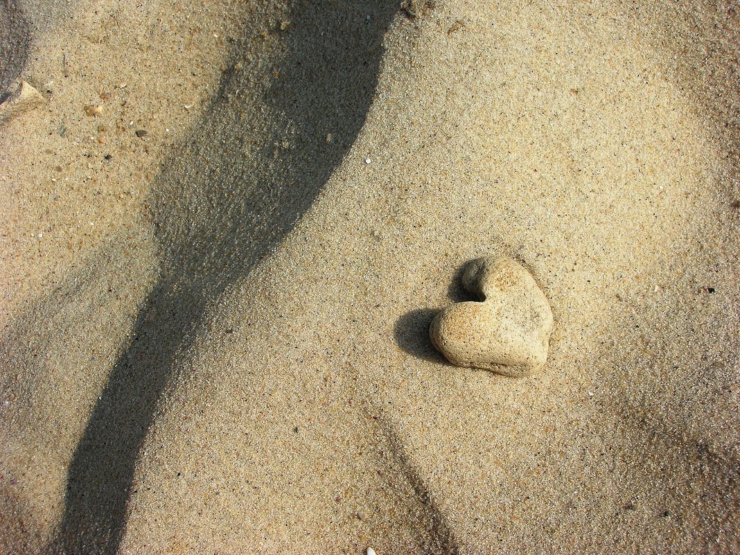 сердце моря - Инна Сечко