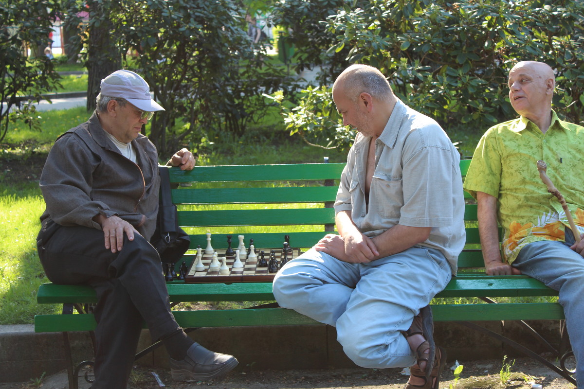 Шахматы в парке - Тамара Пермякова