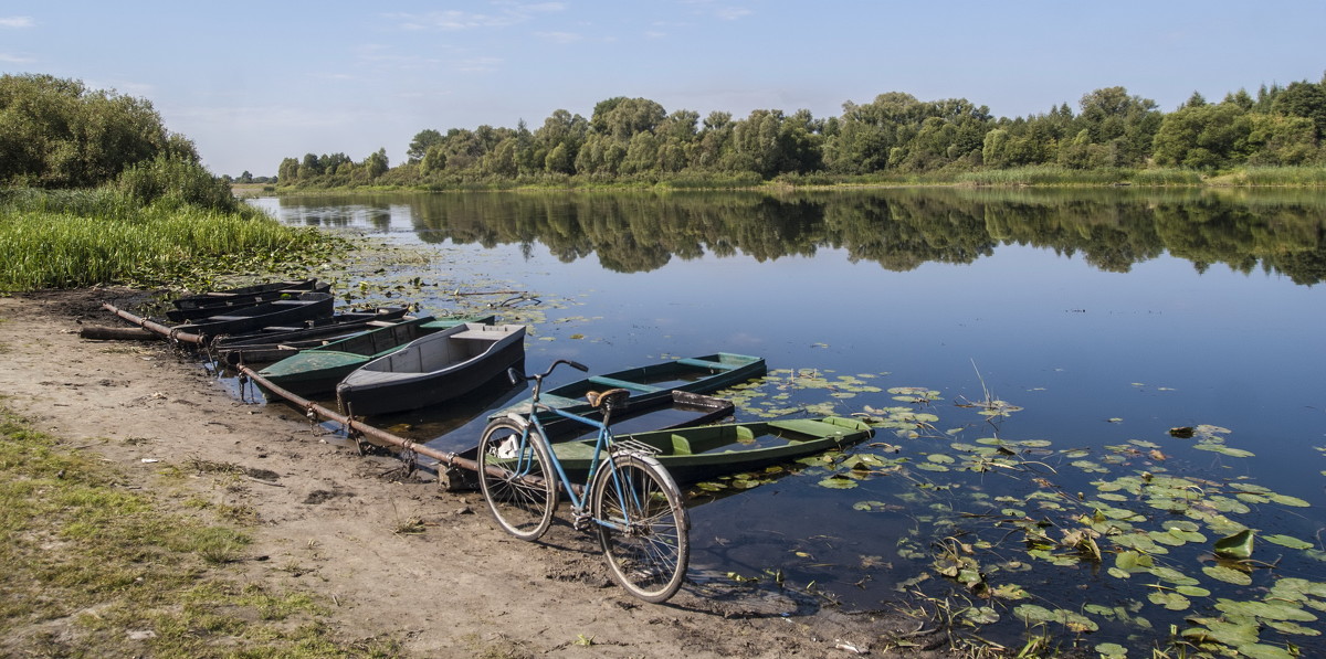 Выбор средств передвижения - Гомельчанка 