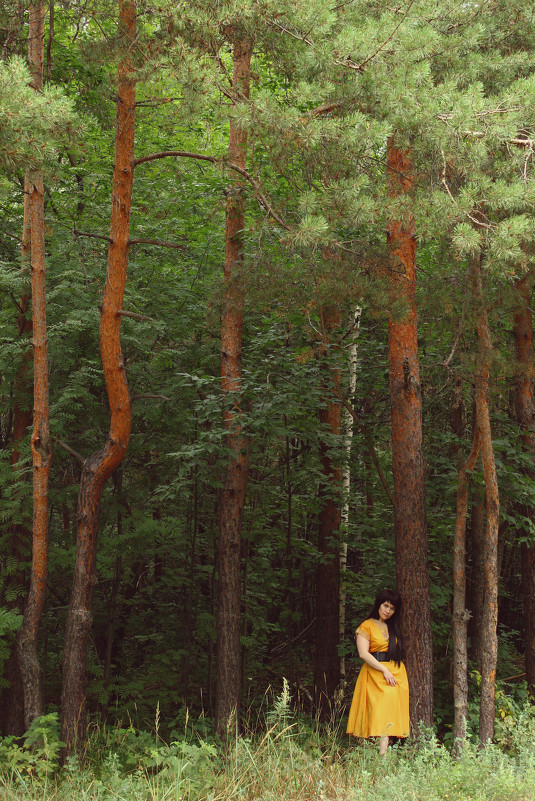 сказочный лес - Маргарита 