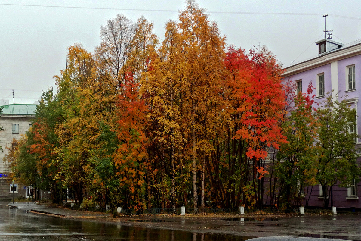 осень - Людмила Романова