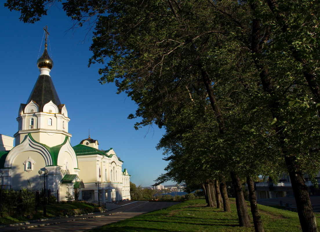 ... - Алексей Некрасов