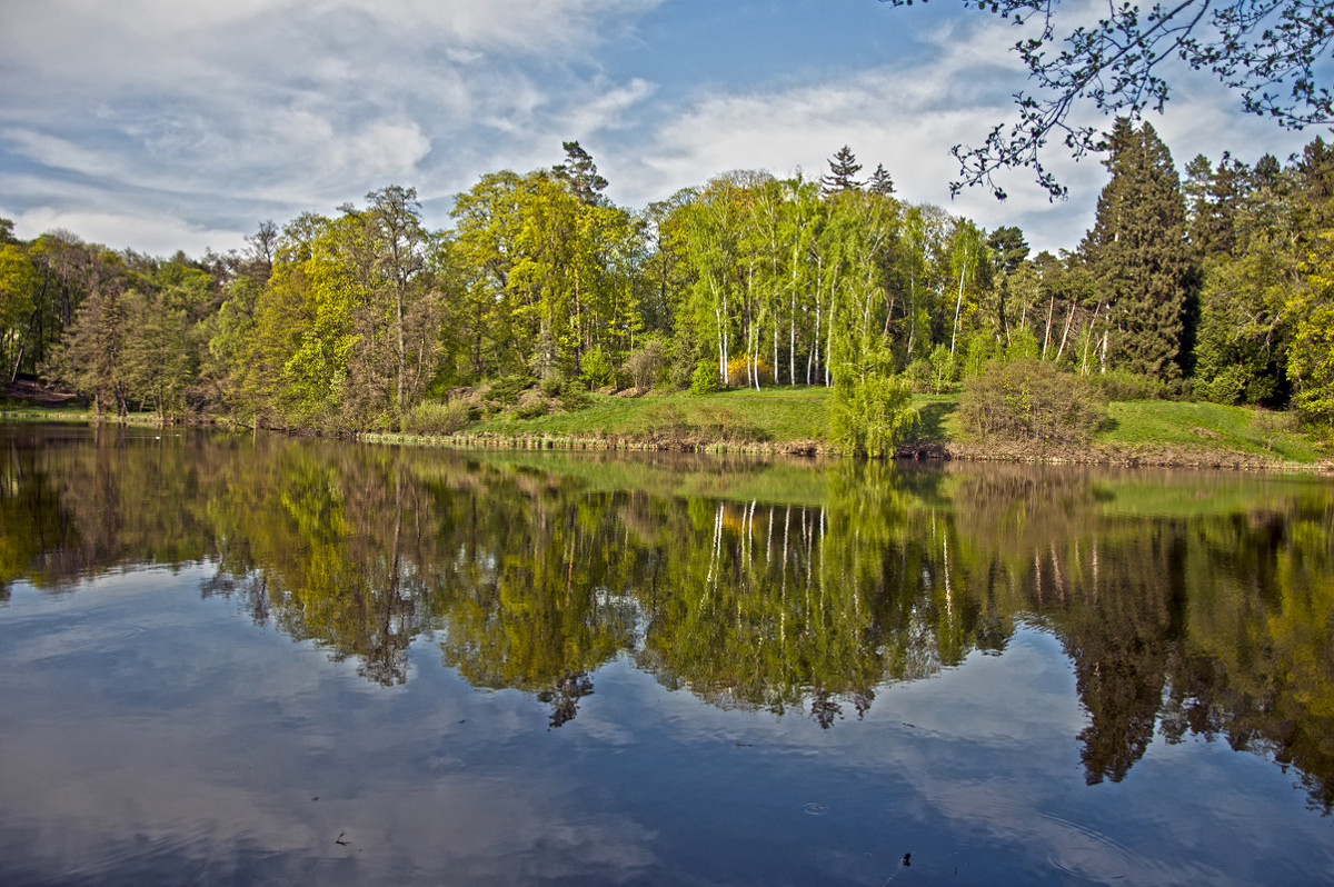 Reflection - Roman Ilnytskyi