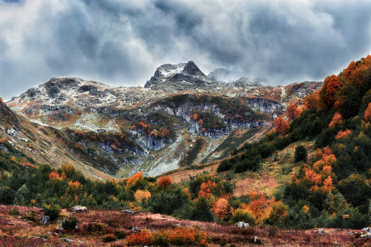 Осень - Александр Криулин