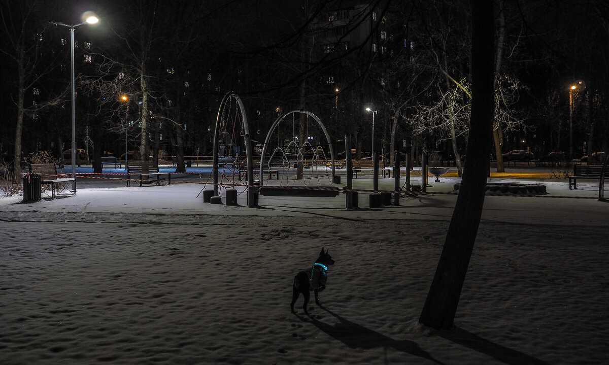 Прогулки в Вечернем Парке - юрий поляков