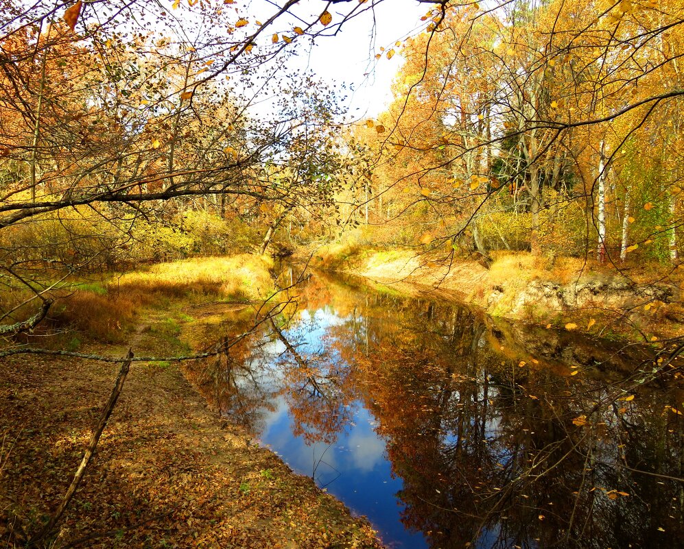 Осень на реке - Андрей Снегерёв