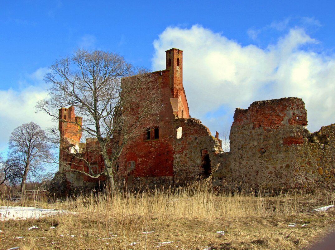 Руины замка Шаакен - Сергей Карачин