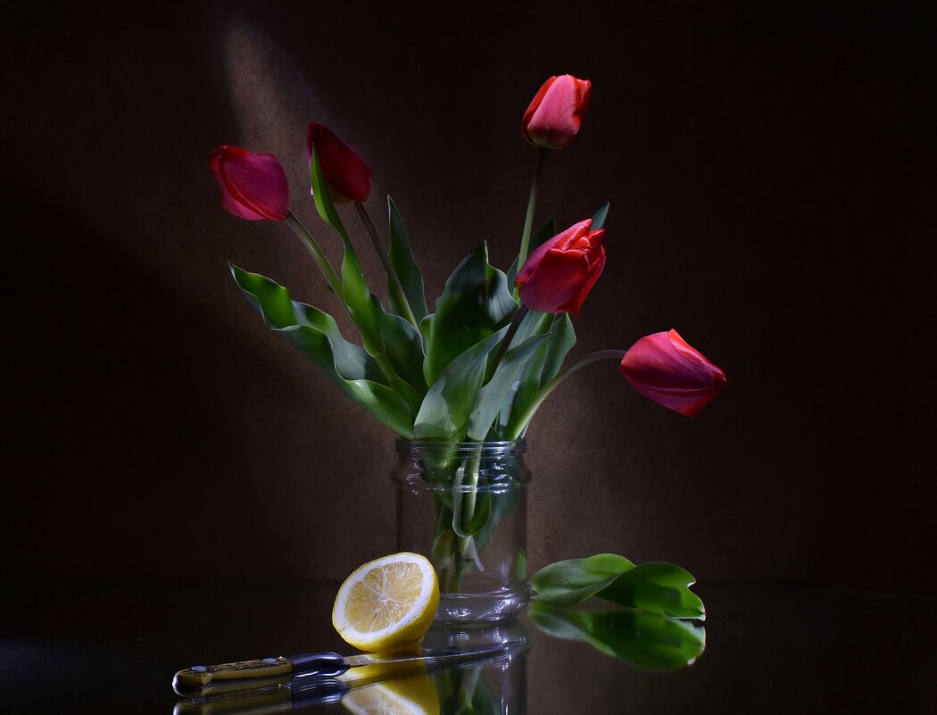 Тюльпаны - Александр Довгий
