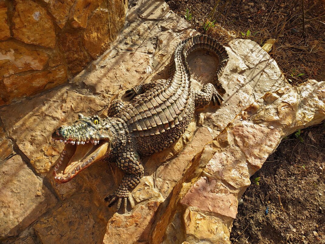 Крокодил, который не съел у Айболита ни одного зайца - Андрей Лукьянов