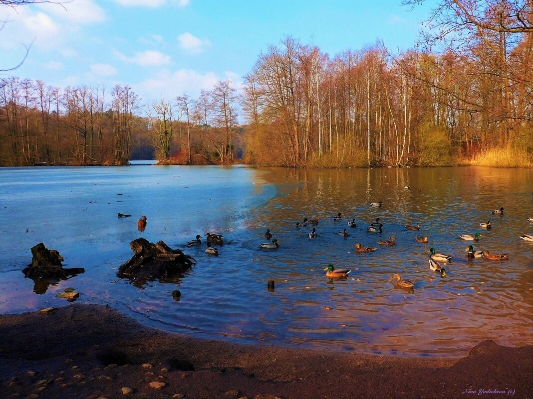 Außenmühlenteich Hamburg - Nina Yudicheva