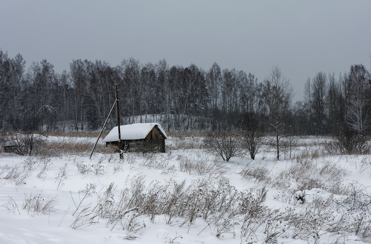 Сибирская глубинка. Домик в деревне - Дмитрий Конев