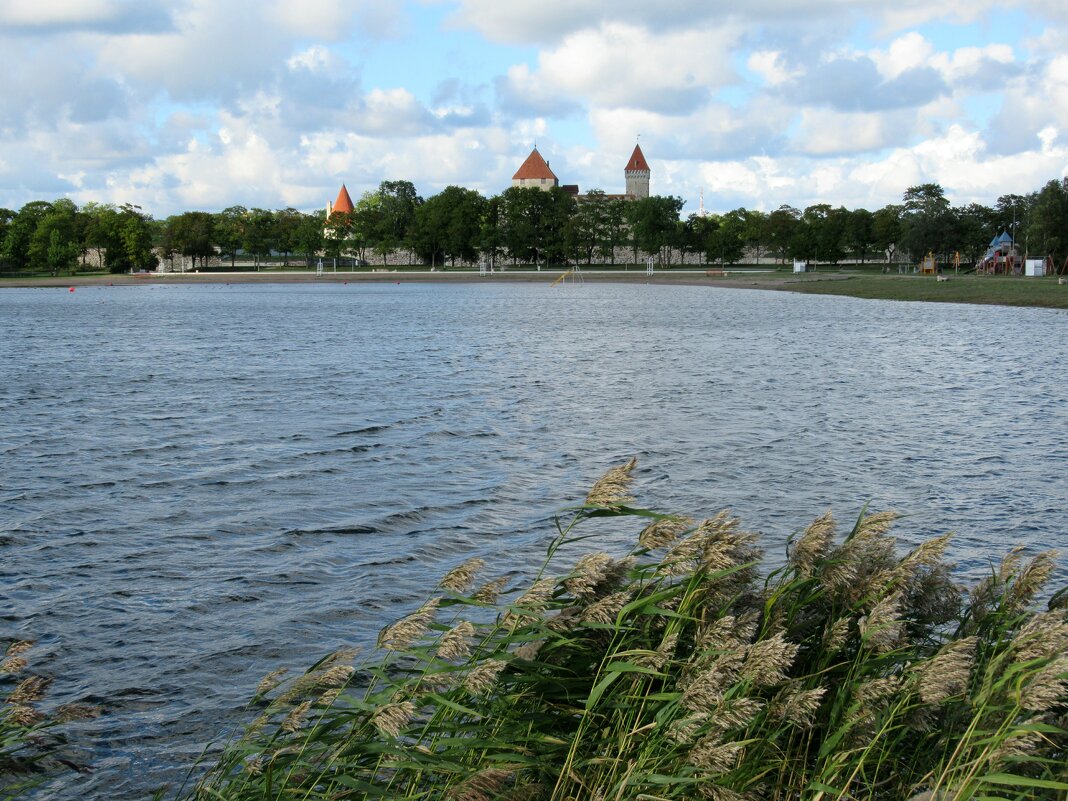 Вид на замок с берега залива - Елена Павлова (Смолова)