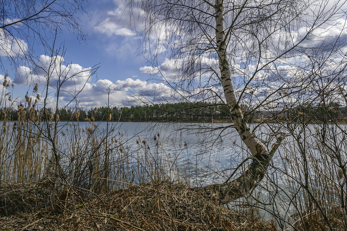 На озере - Сергей Цветков
