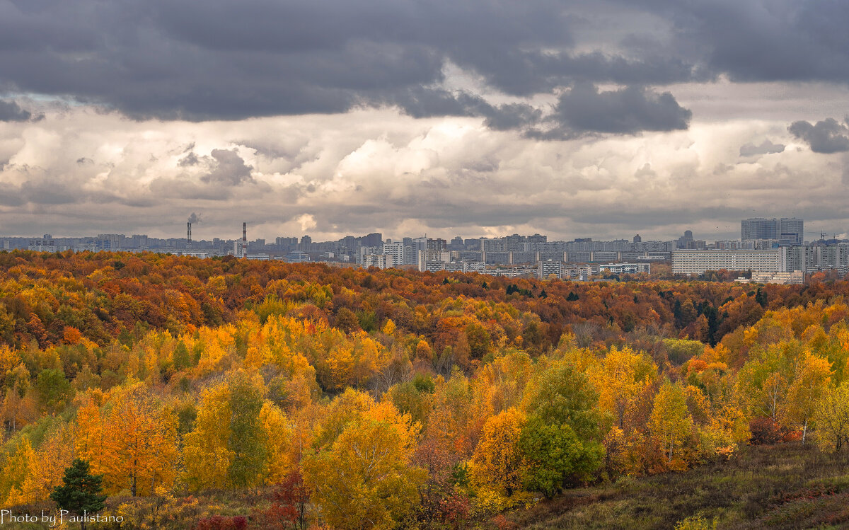 Московская осень... - Владимир Жданов