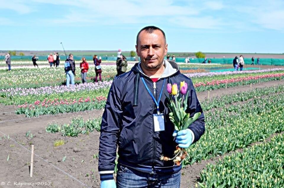 Власник Тюльпанового поля - підприємець Олександр Стратійчук. - Степан Карачко