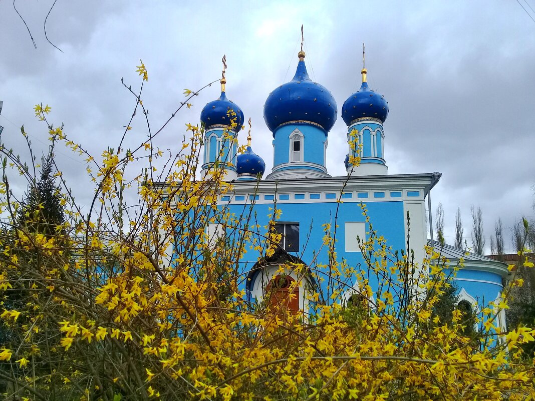 С наступающим праздником Светлой Пасхи! - Зоя Чария