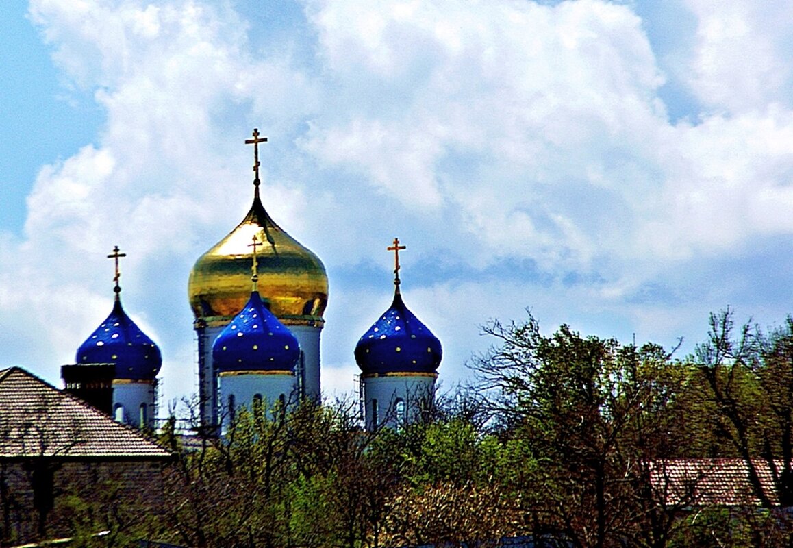 купола Свято-Успенского патриаршего мужского монастыря - Александр Корчемный