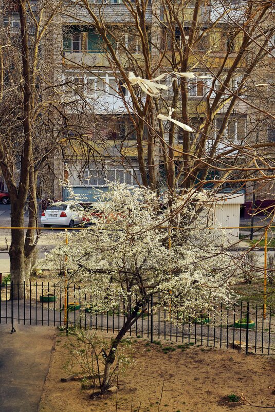 Вид из окна - Константин Бобинский