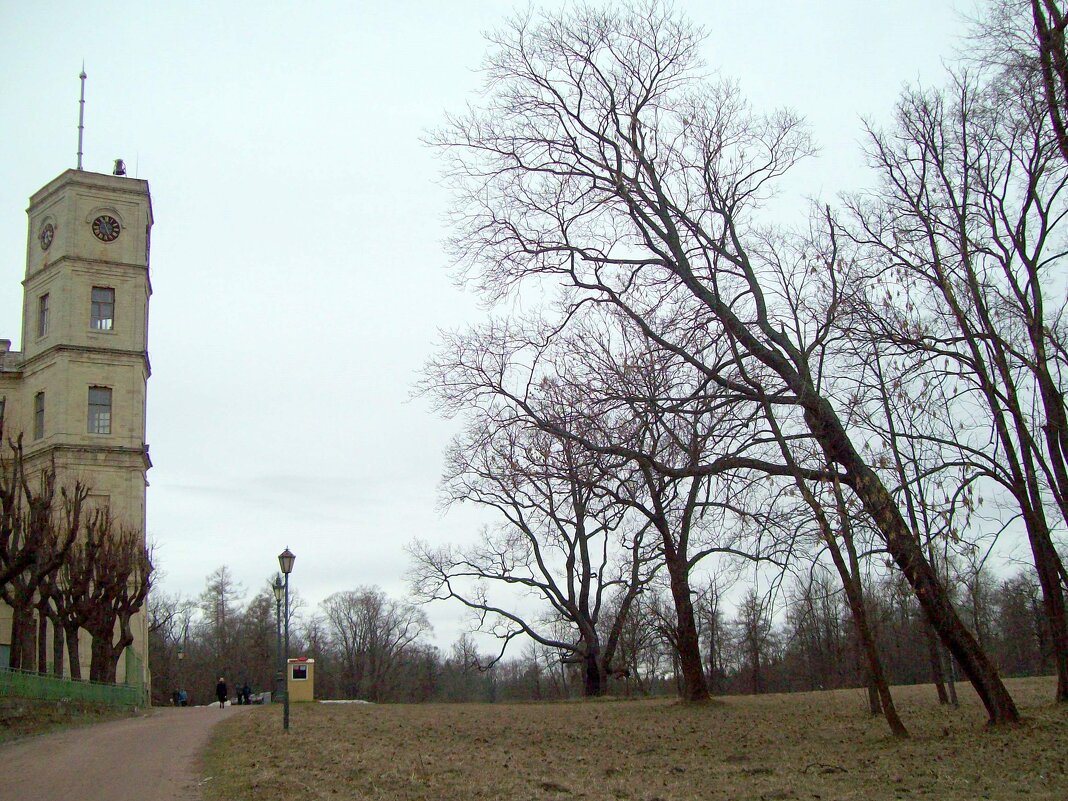 В парке - alemigun 