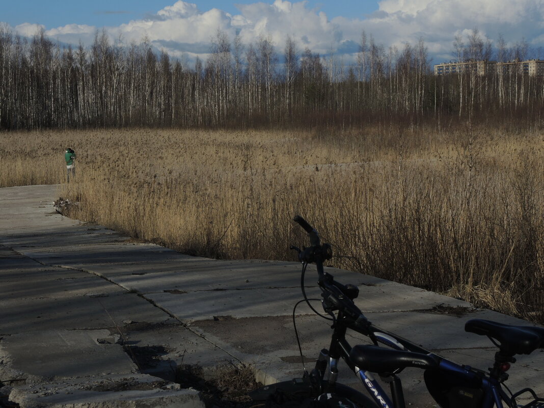 окологородской пейзаж с велосипедами - sv.kaschuk 