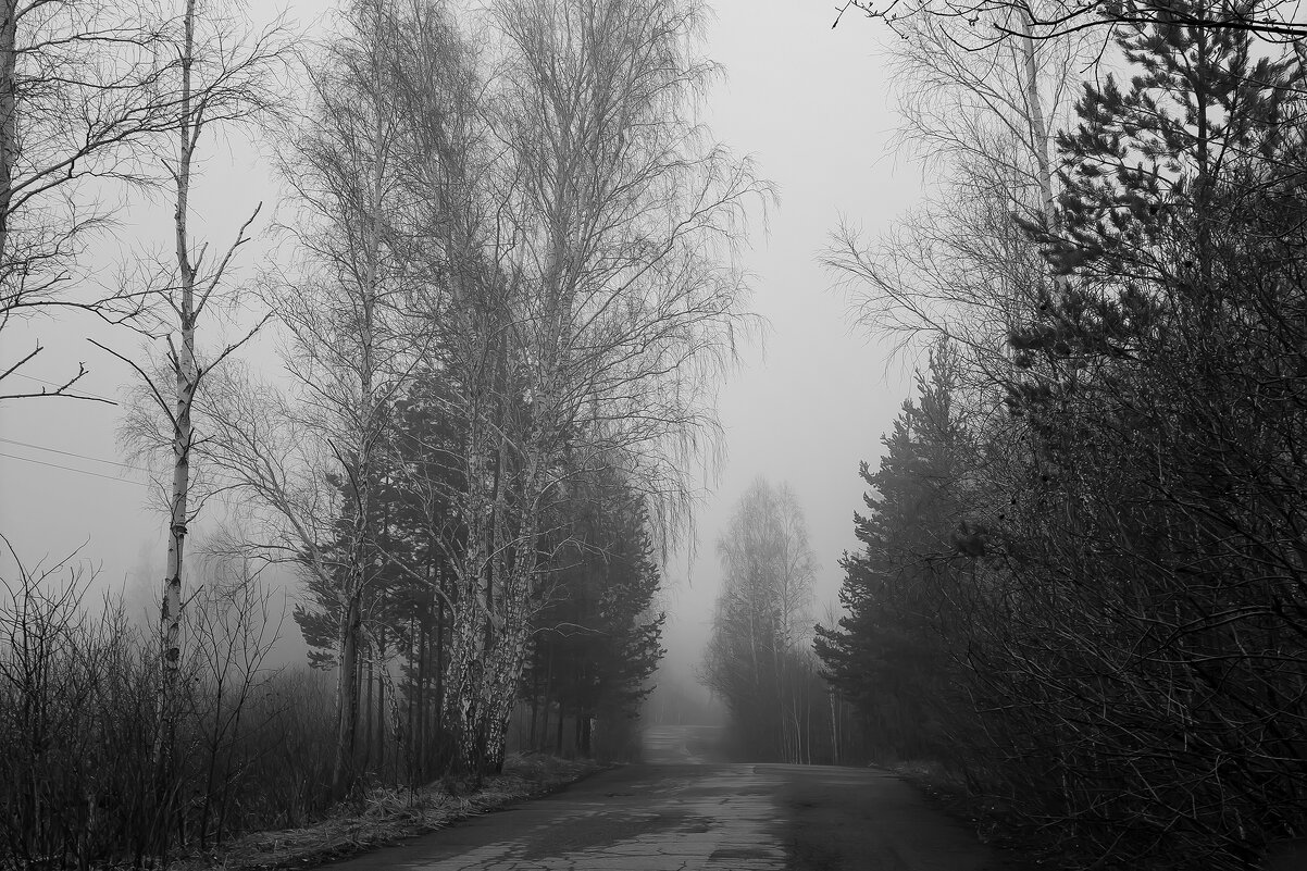 Апрельский туман - Геннадий Федоров